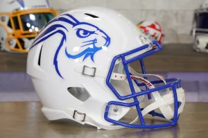 South Dakota State Jackrabbits Riddell Speed Display Helmet